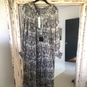 Anthropologie Chiffon Maxi Dress